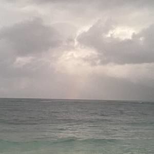 Meet your Posher, Jade